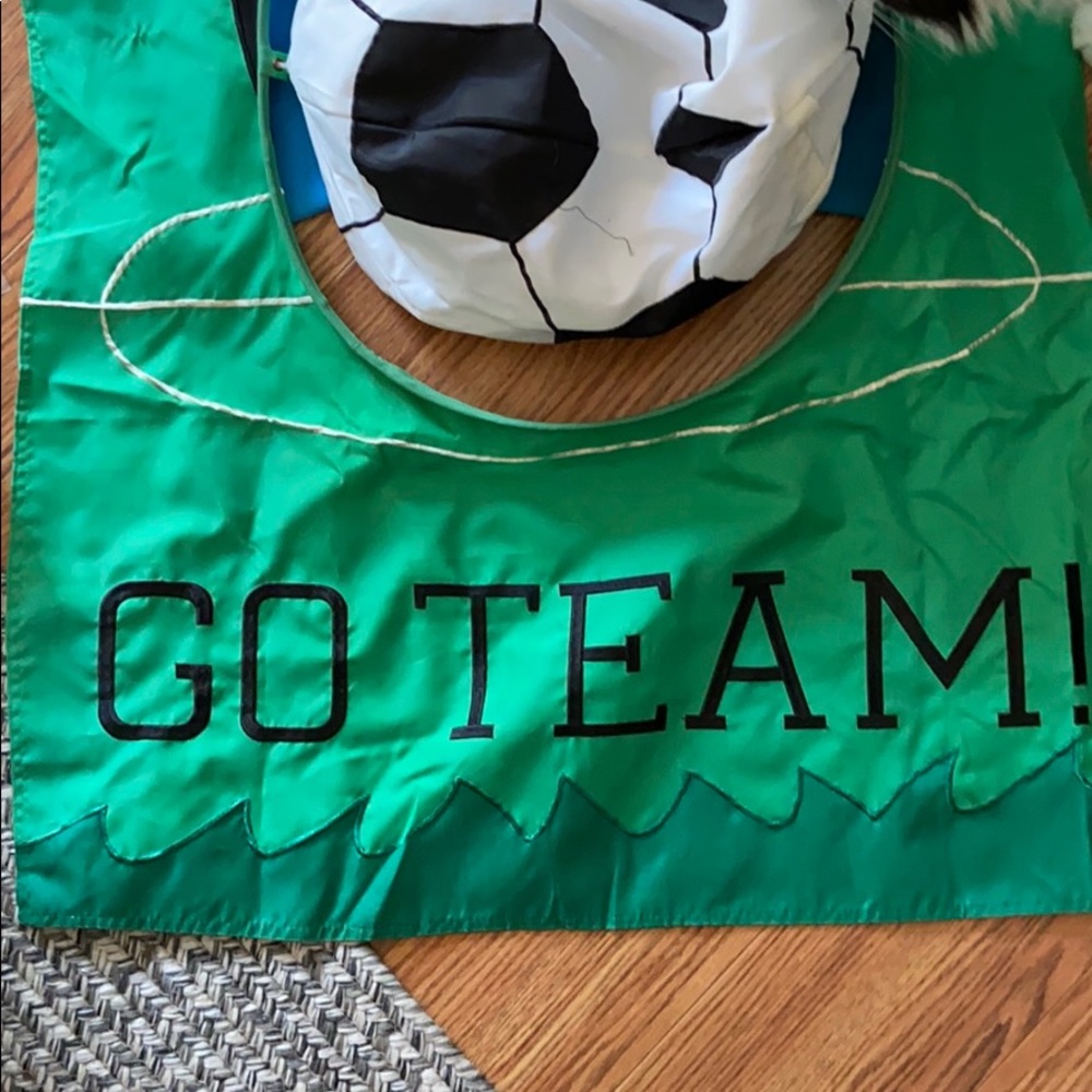 Large and small soccer flag - Picture 7 of 9